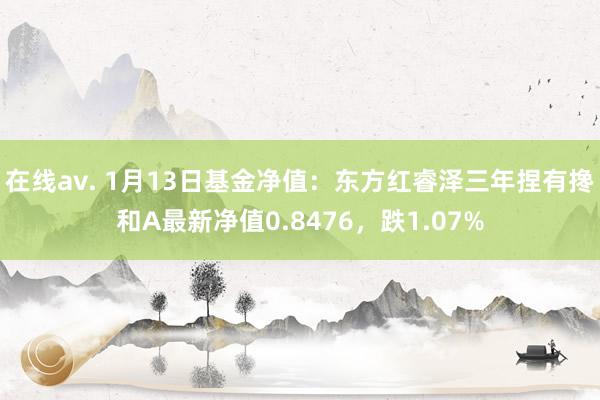 在线av. 1月13日基金净值：东方红睿泽三年捏有搀和A最新净值0.8476，跌1.07%