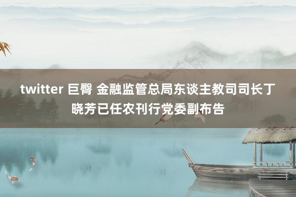 twitter 巨臀 金融监管总局东谈主教司司长丁晓芳已任农刊行党委副布告