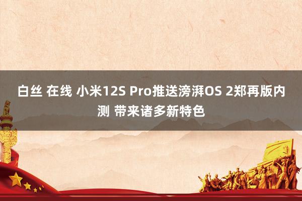 白丝 在线 小米12S Pro推送滂湃OS 2郑再版内测 带来诸多新特色