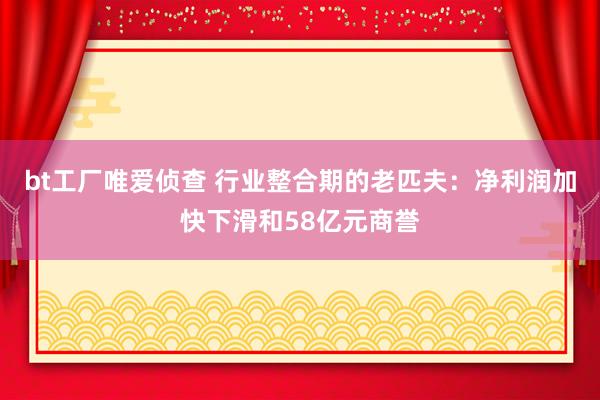 bt工厂唯爱侦查 行业整合期的老匹夫：净利润加快下滑和58亿元商誉